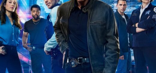 Policie Chicago – 14. řada
