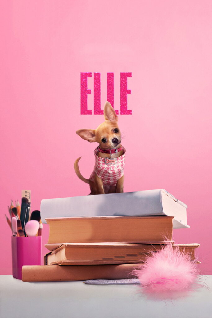 Elle – 1. řada – 5